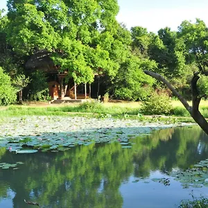  Lodge Back Of Beyond - Wild Haven Sri Lanka